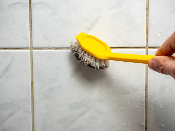 Best Mold Remediation  in Perris, CA