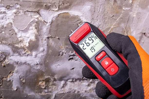 Best Emergency Mold Removal  in Perris, CA