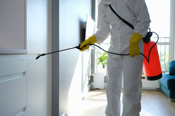 Best Professional Mold Removal  in Perris, CA