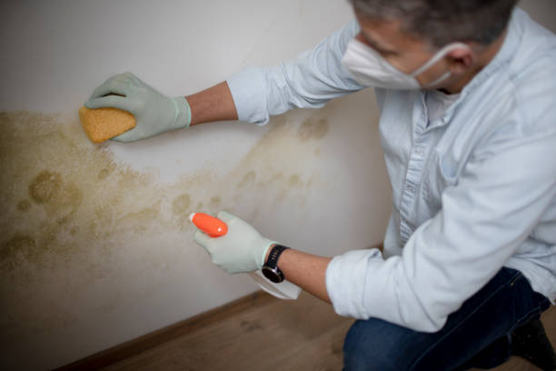 Best Crawl Space Mold Removal  in Perris, CA
