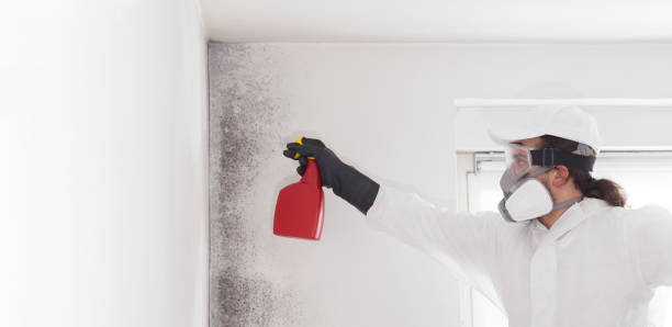 Crawl Space Mold Removal in Perris, CA