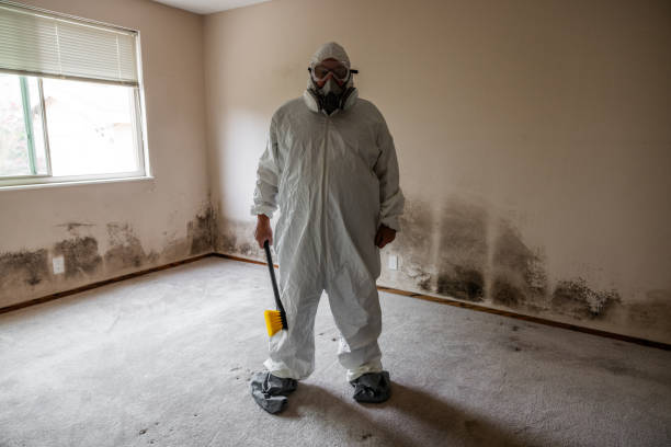 Best Fast Mold Removal  in Perris, CA